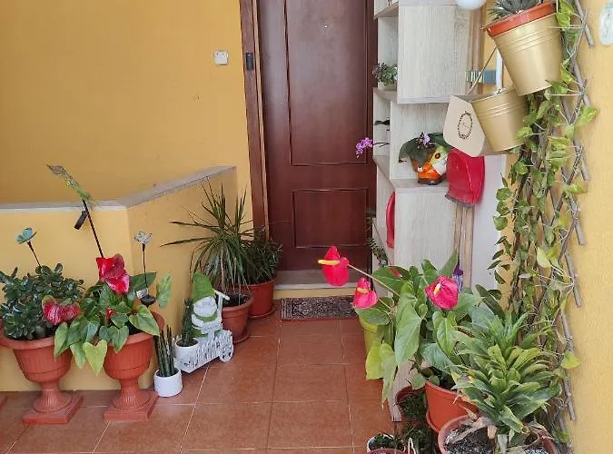 Casinha Gabriela