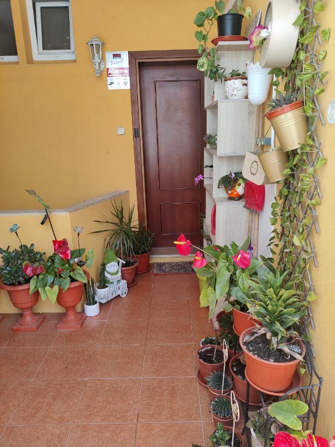Casinha Gabriela