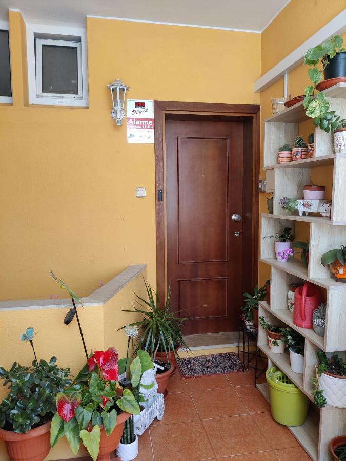Casinha Gabriela